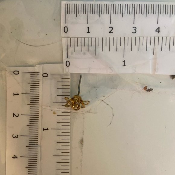 Women’s gold coloured flower stud earrings - Picture 4 of 4